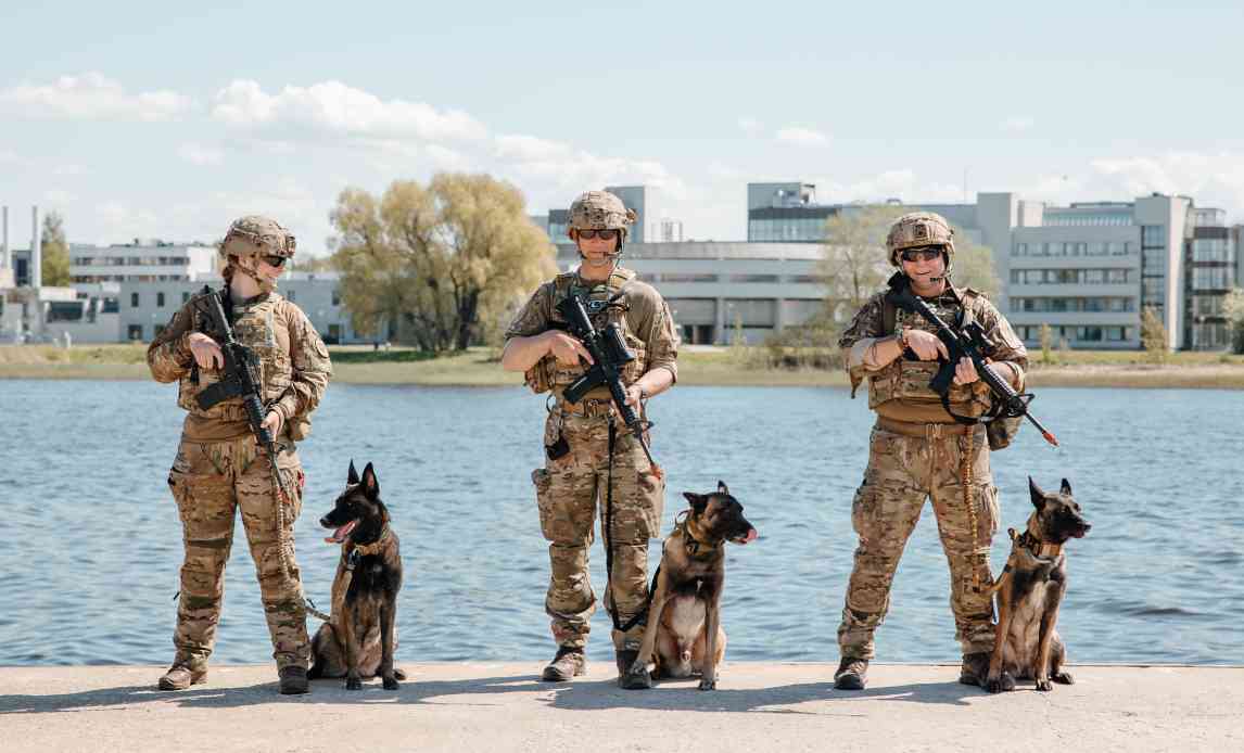 Tre hjemmeværnssoldater og deres hunde