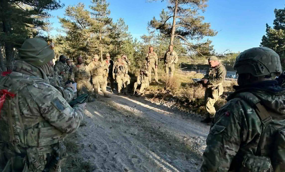 Frivillige modtager befaling til øvelse Brave Lion.